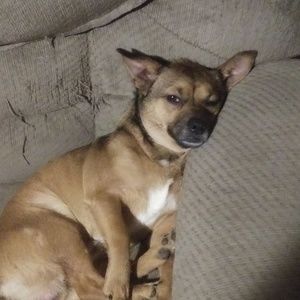 Meet your Posher, Johnny